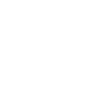 Fhinix logo